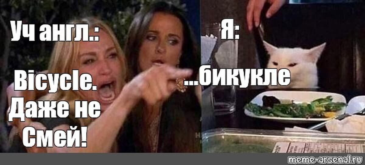 Мем бикукле с котом