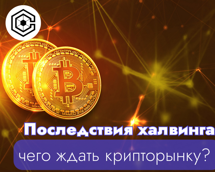 Халвинг биткоина состоялся: как это повлияет на цену монеты и комиссии сети