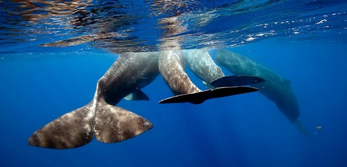 ���� ������� ������� ���������� ������ ���������, �� ��� ������� � "�������� ����������". � ����� ������� ������� �� ��������, �� �������� ������� � ����� ������.