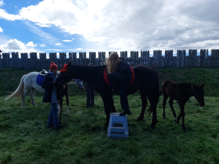 Можно было покататься на лошадях и посмотреть на бойких жеребят