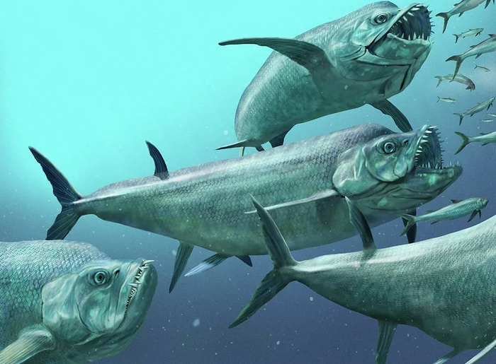 �������� ��������� ����������� ����� � ��������. ������ �������...