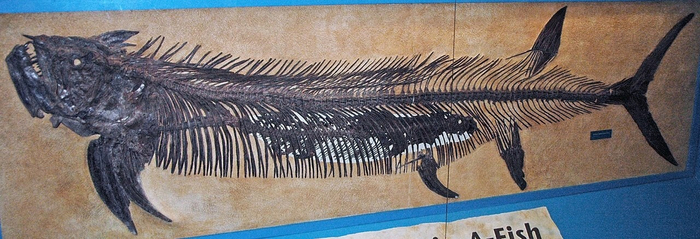 ������ ��� �������.