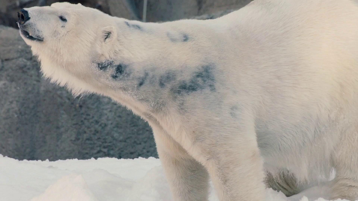 ����� ���������� � ������ ����� ������ ���� ������ �������. ��� ��� ����� �������� �������� �������!