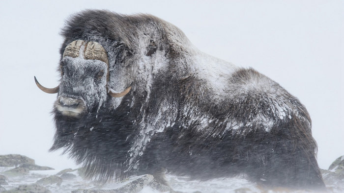 ������, � 40 ����� ������� ����, ��� 10 ����� ���� ���������.