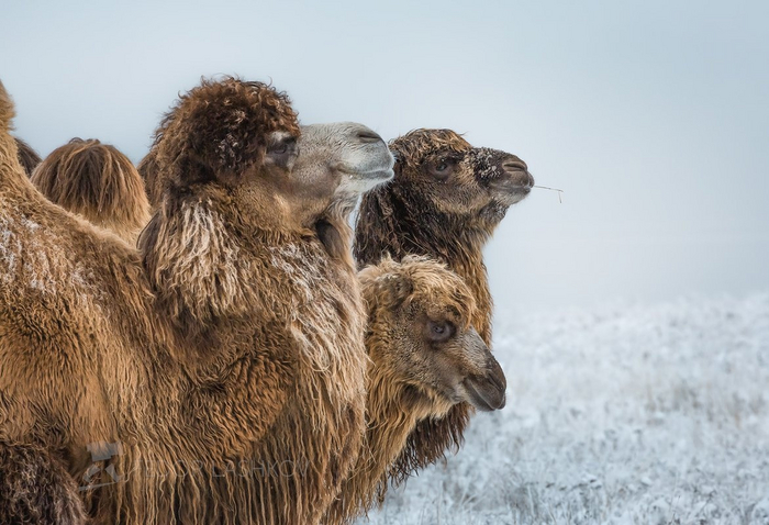 ����� ���������� �� ������ ��������, �� ������ ������ �����.