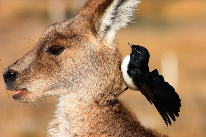 Говорю тебе последний раз, вали отсюда!