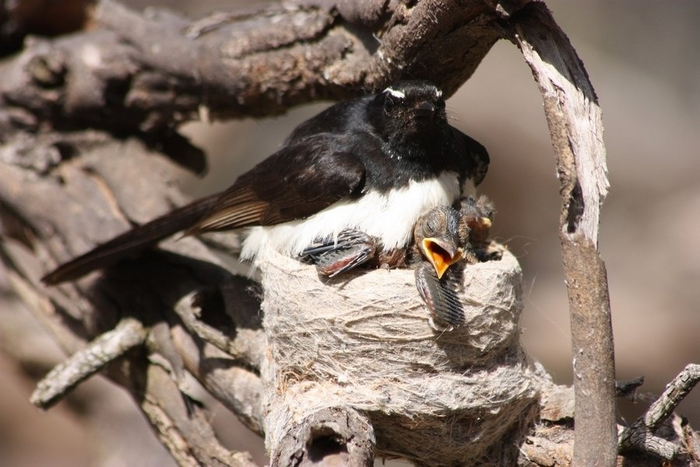 — Мам, мне тесно! — Не мамкай! В тесноте, да не в обиде!