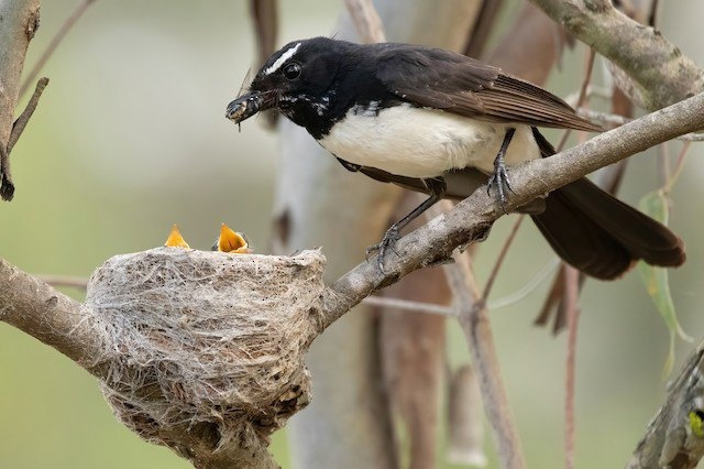 Ешьте быстрее, нам с отцом ещё ваших братьев и сестёр нарожать надо!