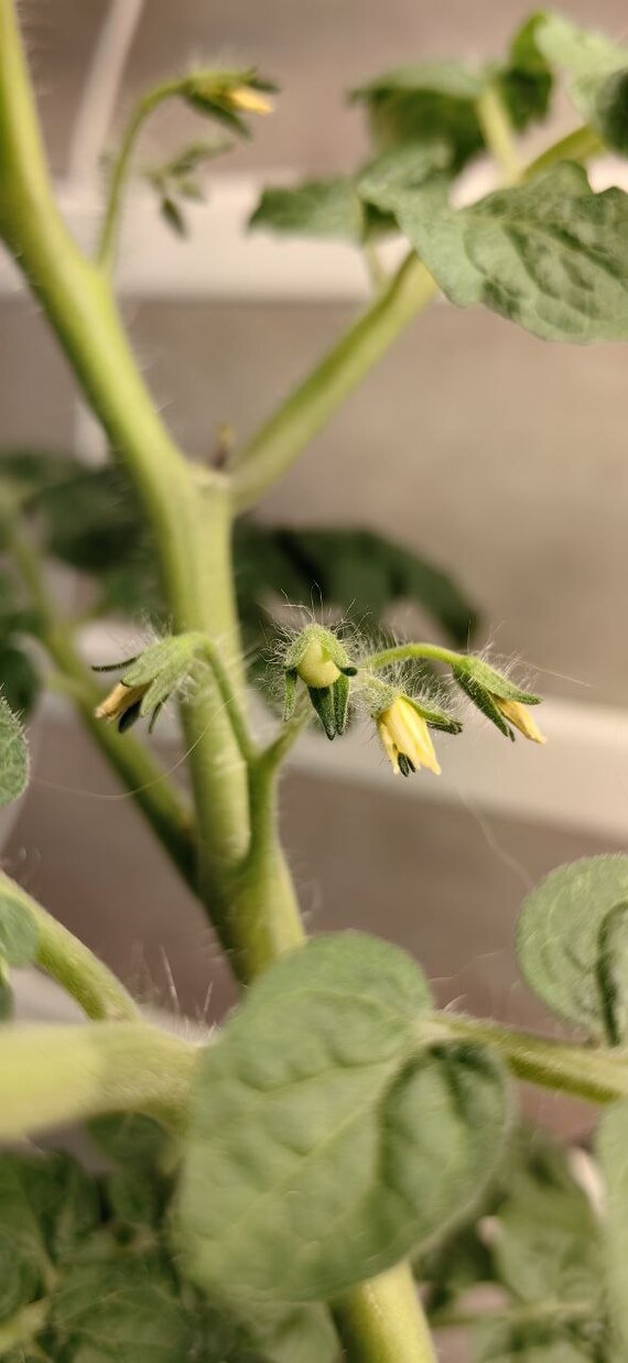 ������ �������� ����� - ��� ��� ����� �� ��������, � ��������� ������.