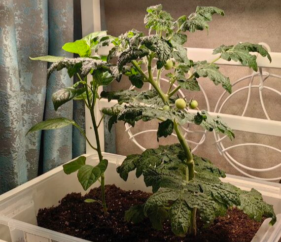 ������ � ��������. ����� ���������