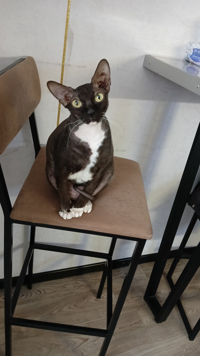 Извините, а покушать сегодня планируется?