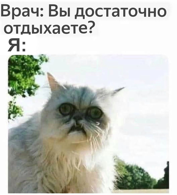   , 
