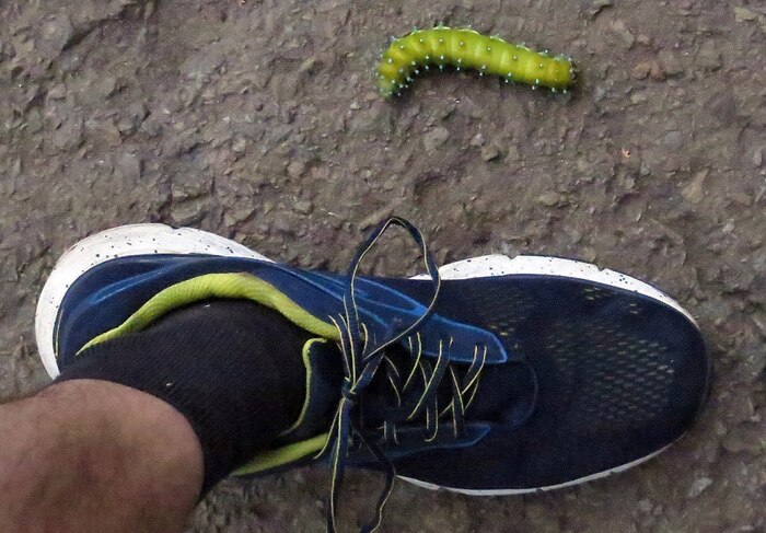 ��������, ���.