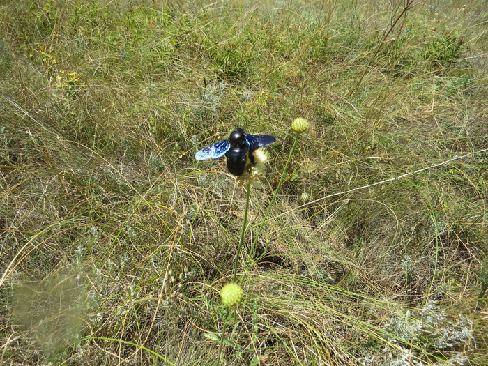 ��������, ���.