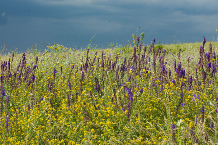 ��������, ���.