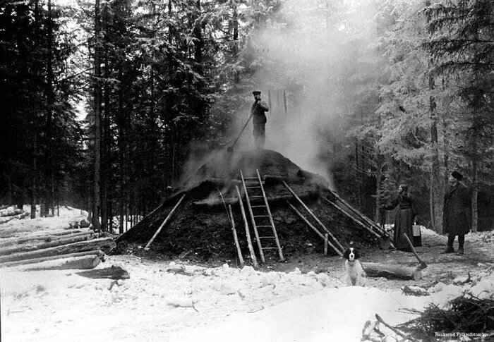 Углежогный промысел