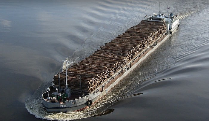 (И продолжают завозить)