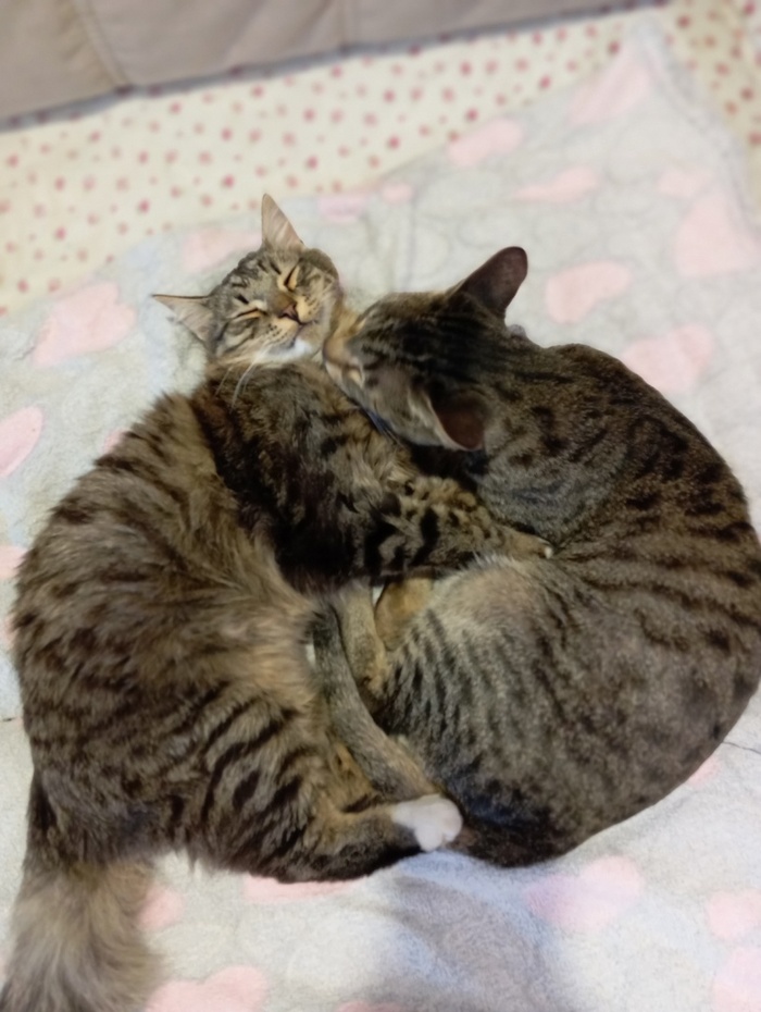 �� �� �����)))