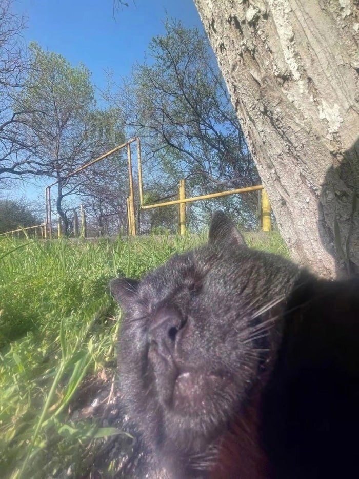 ��� ����� ���� ��������� ������ ����, ����� �� ��� ����������