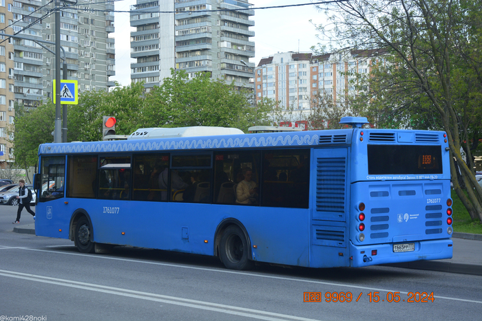 Фестивальная улица