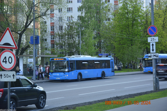 Фестивальная улица