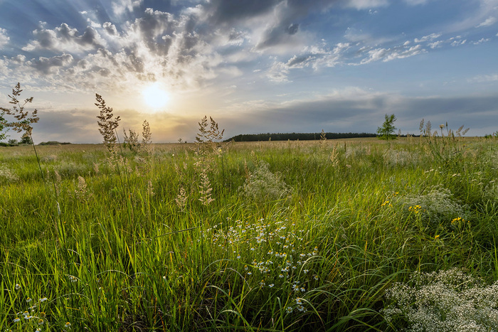 �������� �����