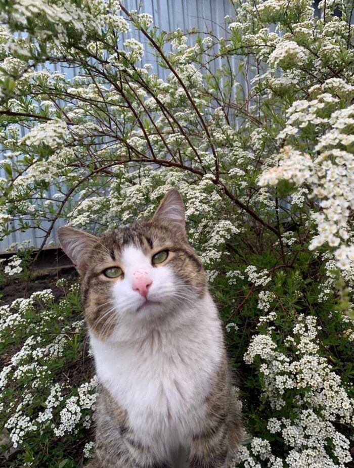 Мамы они такие