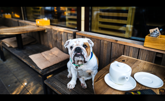 Не мешайте мне пить чай