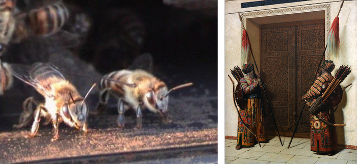 �����-��������� �� ����� ���� � ������� ������� ����������� ���������� "������ ���������"