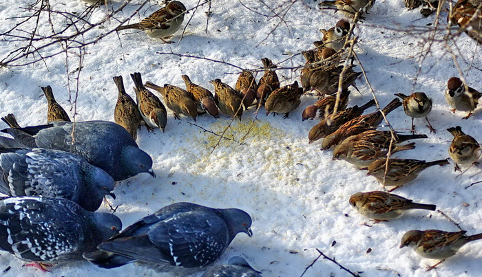 ,    . -,      ,   ,      . -, !