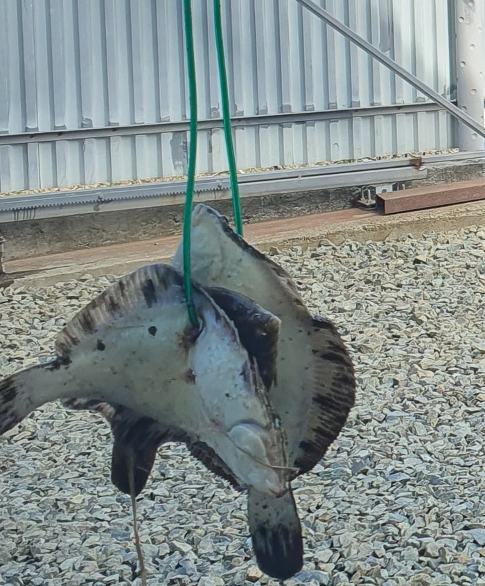 �������. ��������� � �������� �����.