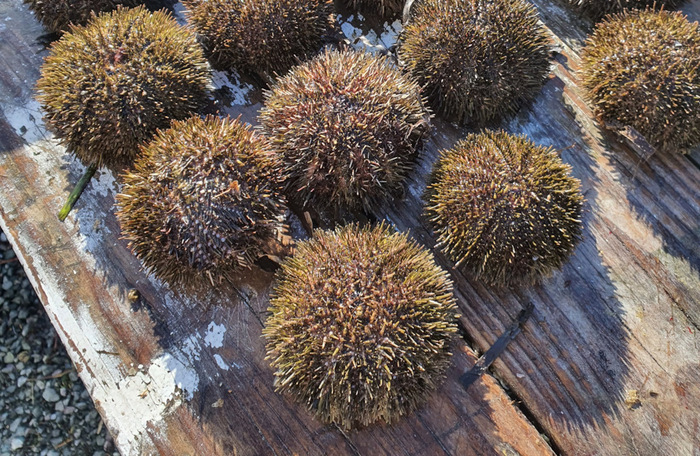 �� ��������������� �������. ��� ���������.