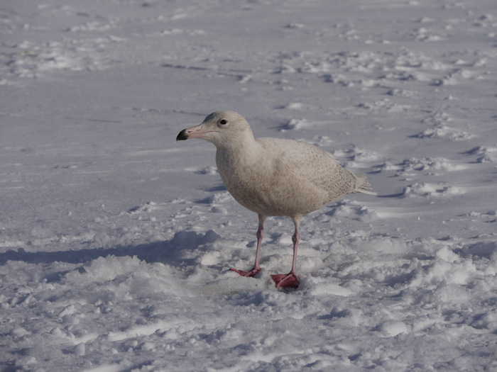 "� ��� �� � ���� ����� ������ �����?" - ��� �� ���������� ���� �������������� ������.