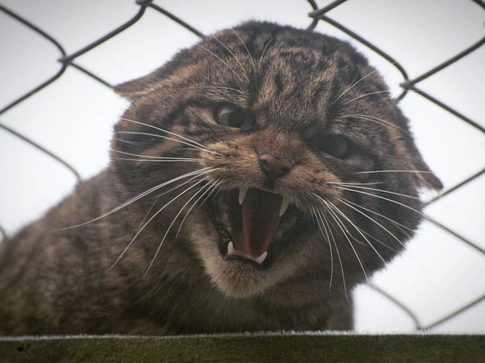 Съёмку не разрешаю!