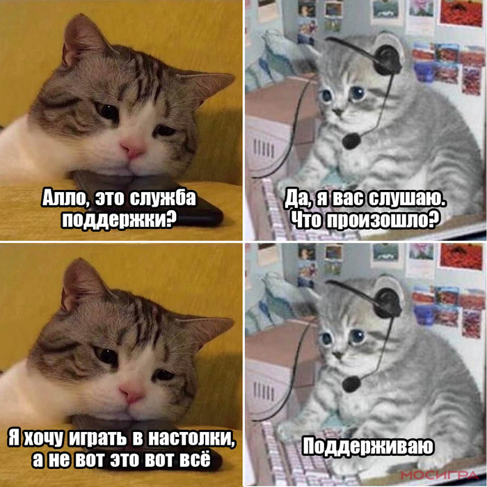 Мы тоже, котик