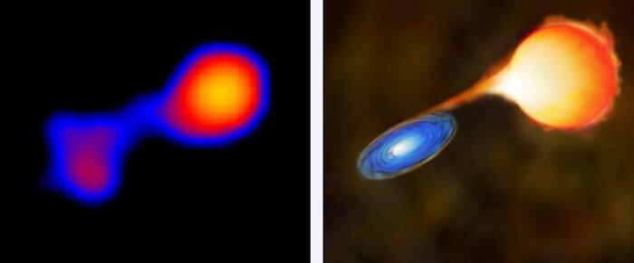 ������ ������ (��� � �������� � �������������)