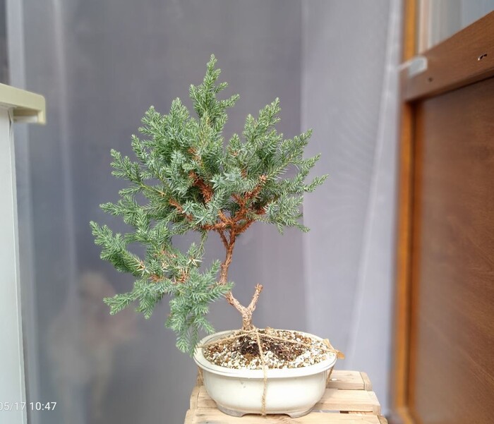 .     .     ,      .  ,  .