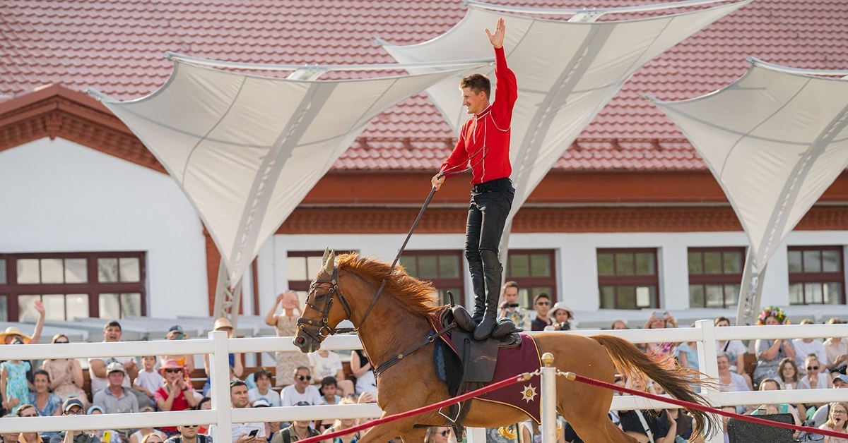 Конное шоу лоренцо. Конное шоу кантемирова. Конный театр вднх. Конный театр вднх. Музей лошади на вднх.