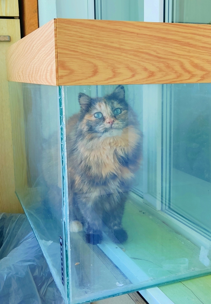 ���������