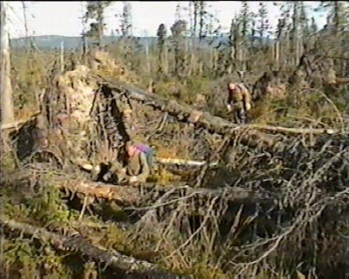 А завалы там действительно знатные. Вот, например, один из профилей, на котором мы работали. Скрин видео - качество так себе.