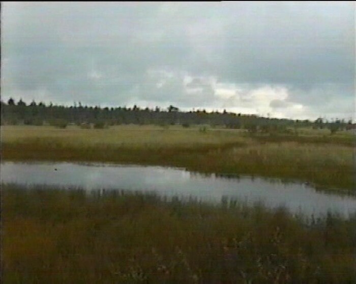 Гадкое болото - в такие места вообще лучше не соваться
