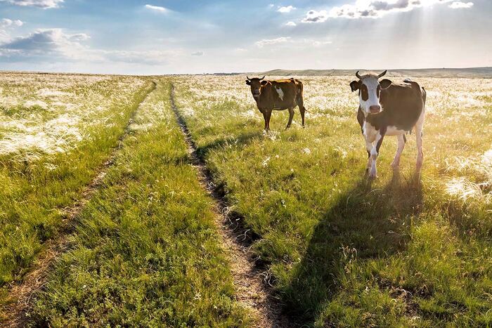 Автостопом