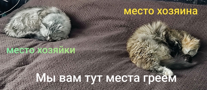 � ���� ����� ���, �� �������