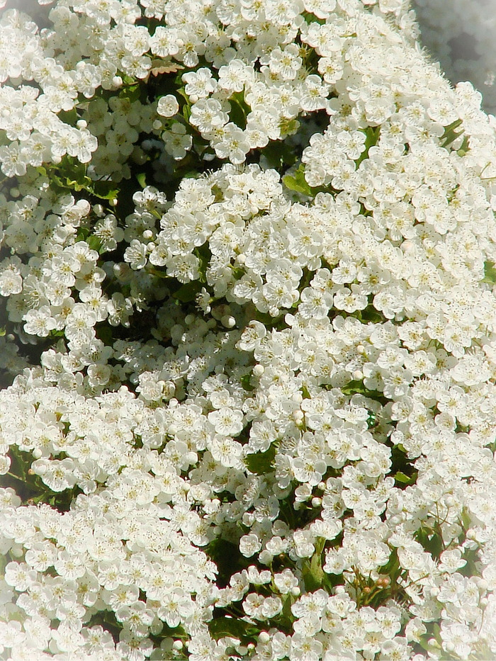 ���������� �-����� �������� ������ ���!