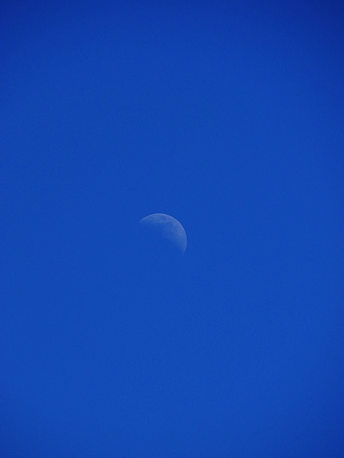 ���� � ��� ����� � ���� ������� �����...