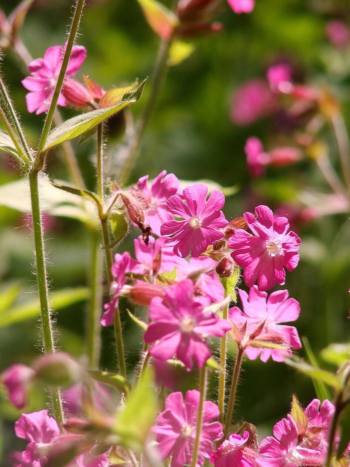 ������� �� ������� ����� � ���� �������� ����������� ������� ����� �����������...