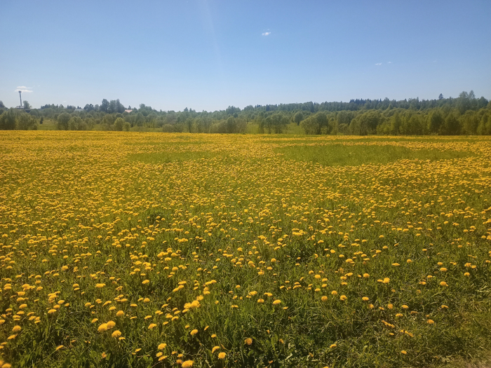 Уже только ради таких видов стоило сюда приехать