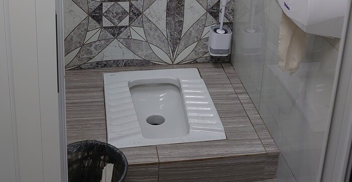 В общественных местах только такие унитазы должны быть