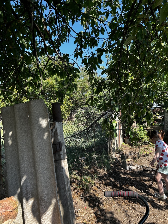 Переезд в Крым : сколько стоит убрать срач? | Пикабу