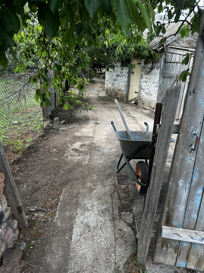 Переезд в Крым : сколько стоит убрать срач? | Пикабу